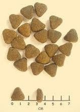 Load image into Gallery viewer, Wolfsblut - Wide Plain sdf sdf sdf sdf sdf sdf sdf sdf sdf sdf sdf sdf sdf sdf sdf sdf sdf sdf sdf sdf sdf sdf sdf sdf sdf sdf sdf sdf sdf sdf sdf sdf sdf sdf sdf sdf sdf sdf sdf sdf sdf sdf sdf sdf